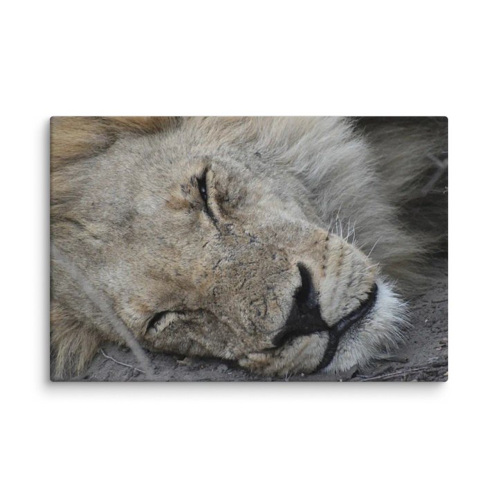 The Lion (Canvas Print) product image (2)