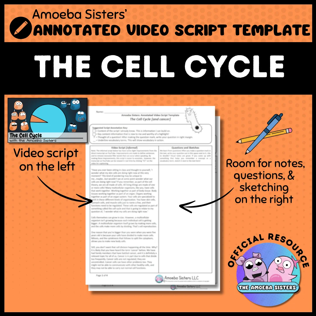 Amoeba Sisters Cell Cycle Annotated Video Script Template product image (1)