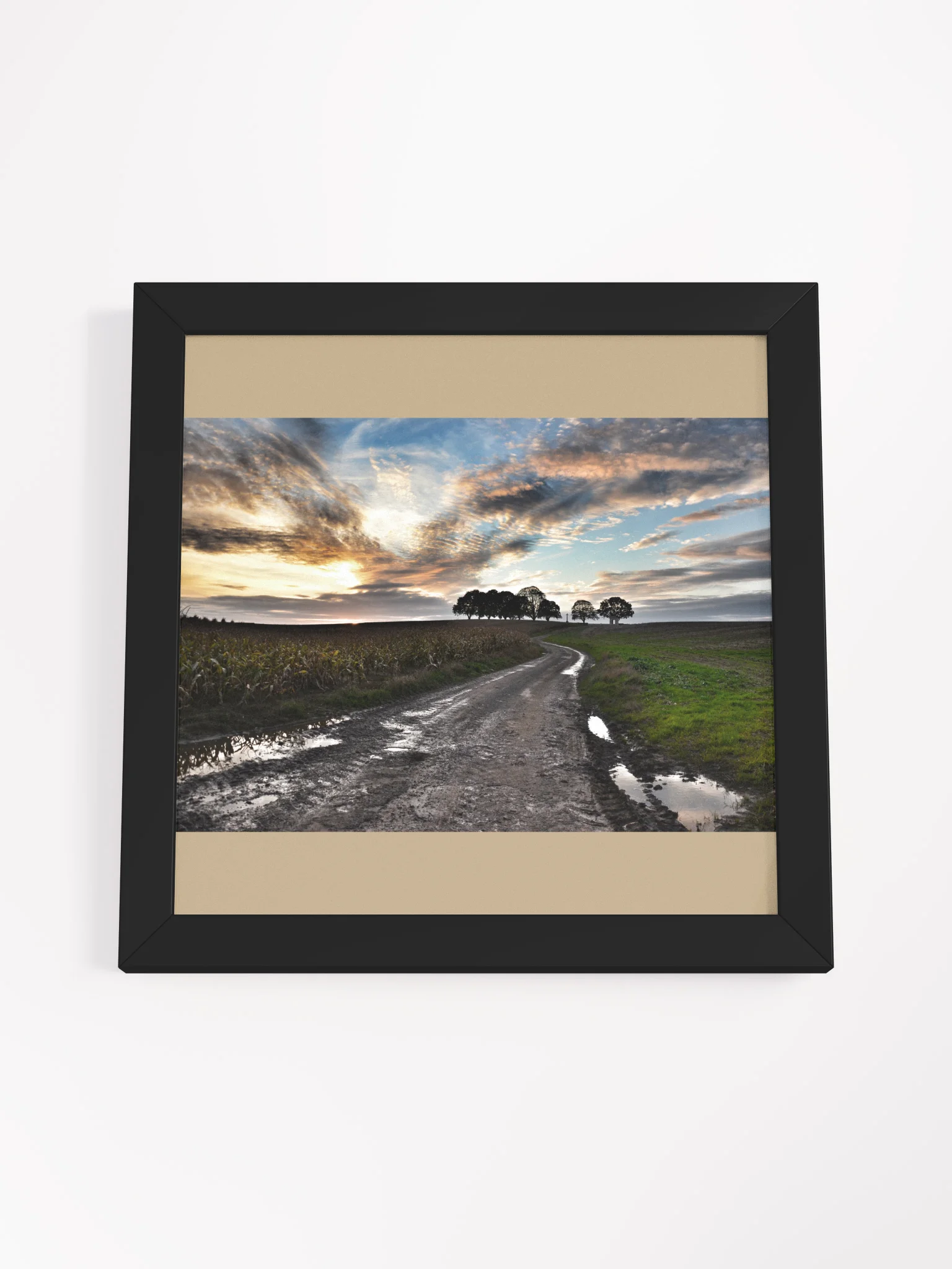Courcelette Sunset - Framed product image (8)