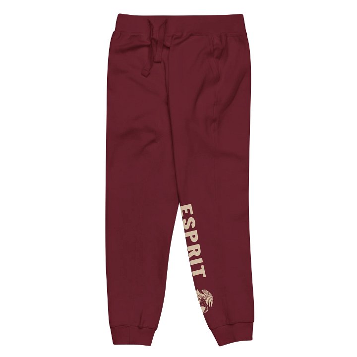 Esprit Athletic Women's Joggers – Mission Edition product image (2)