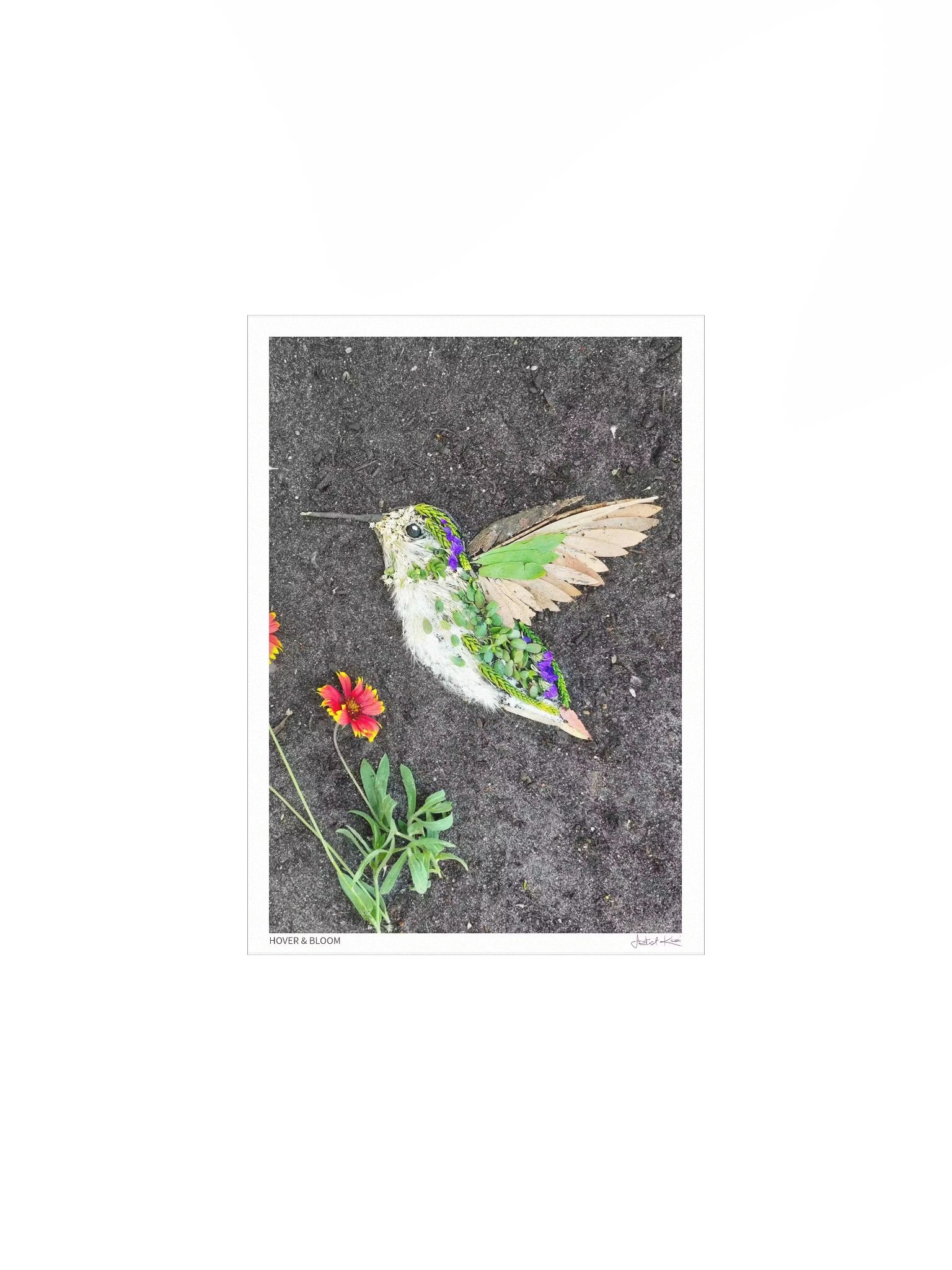 HOVER & BLOOM | Fine Art Print product image (2)