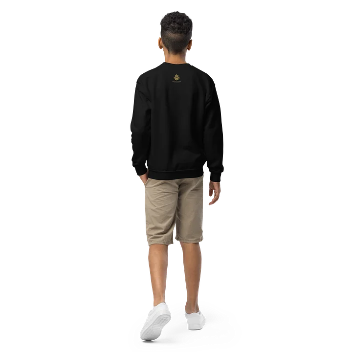 Nexus sweatshirt product image (2)