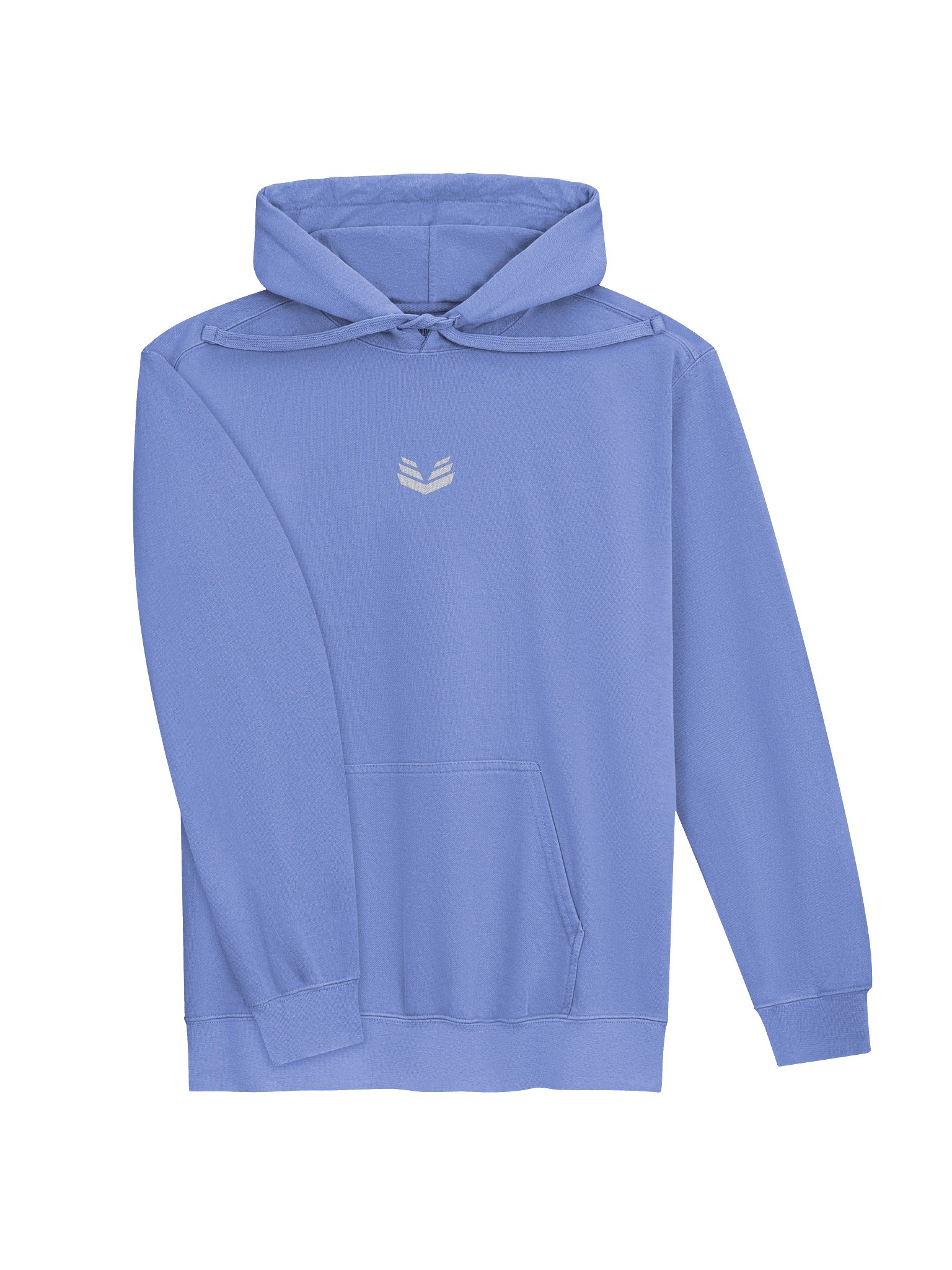 Icon Hoodie - Flo Blue product image (3)