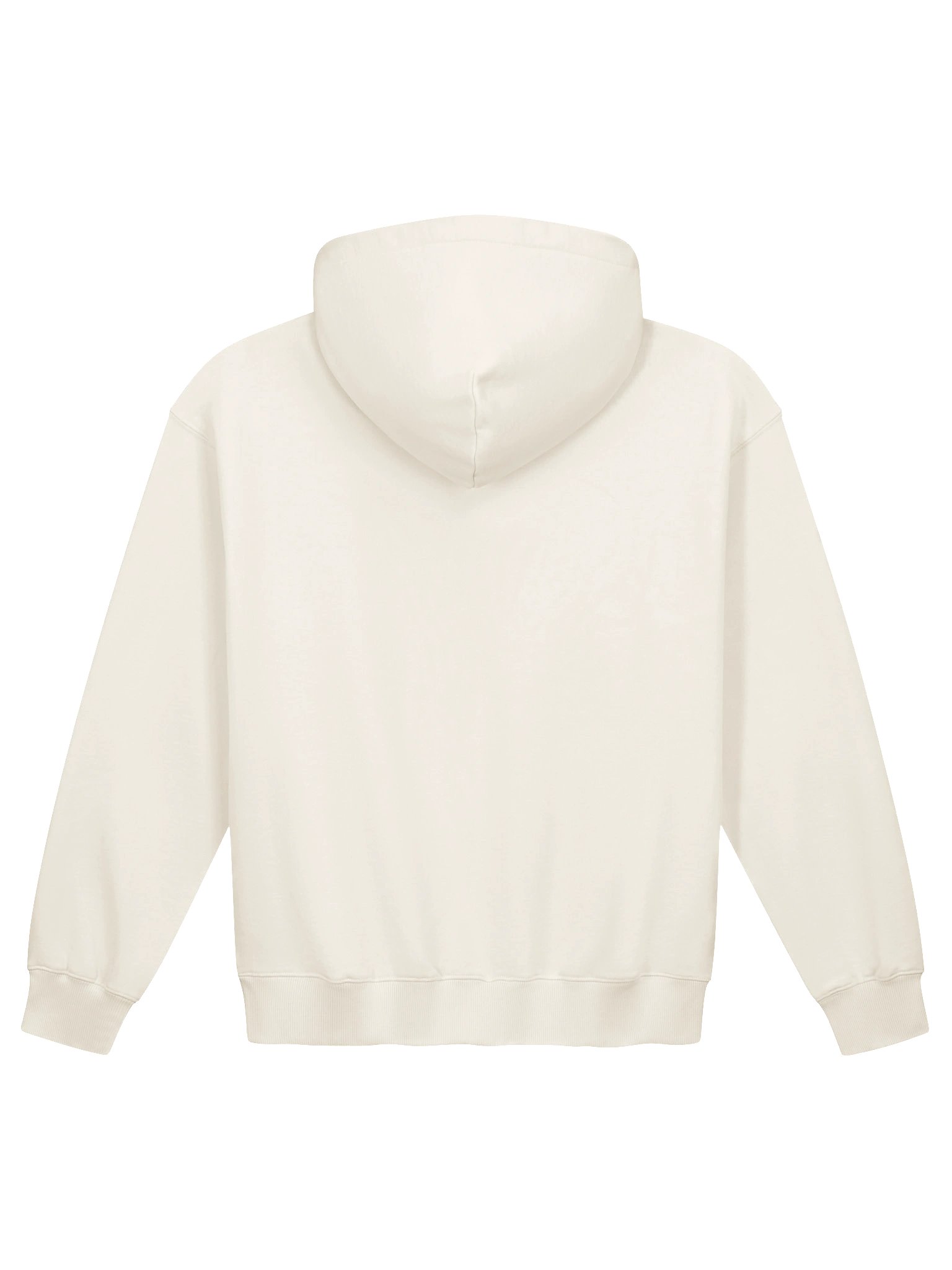 Hoodie Varom Parallel Planet 1 (100% cotton) product image (2)