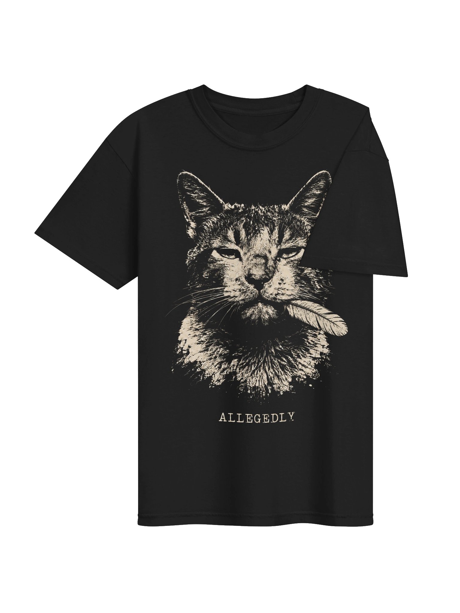 Allegedly Cat Heavyweight Graphic Tee product image (4)