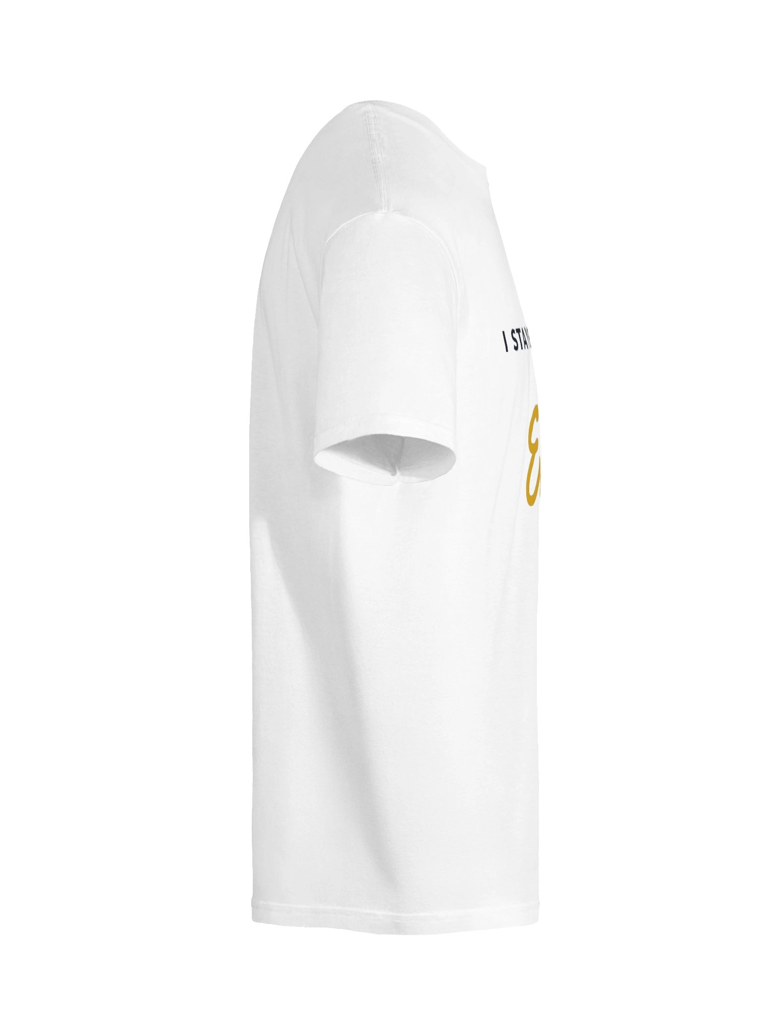 I Stayed for the Encore Tee (Brush, White) product image (10)