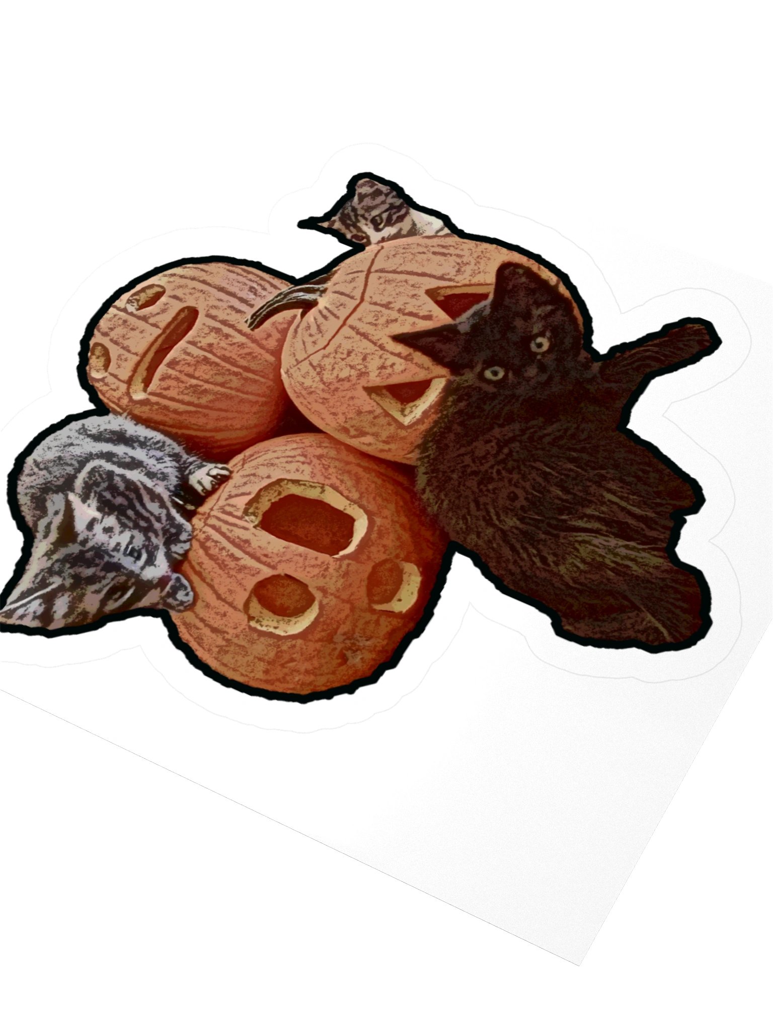 Three kittens & three pumpkins product image (8)