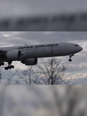 What a thrilling sight! 🌬️✈️ Wide-body aircrafts are gracefully landing on runway 33 amidst the heavy Sunday winds. 💙 #aviation  #planespotting #airbus #boeing  #fyp @JAPAN AIRLINES【公式】 @Finnair 