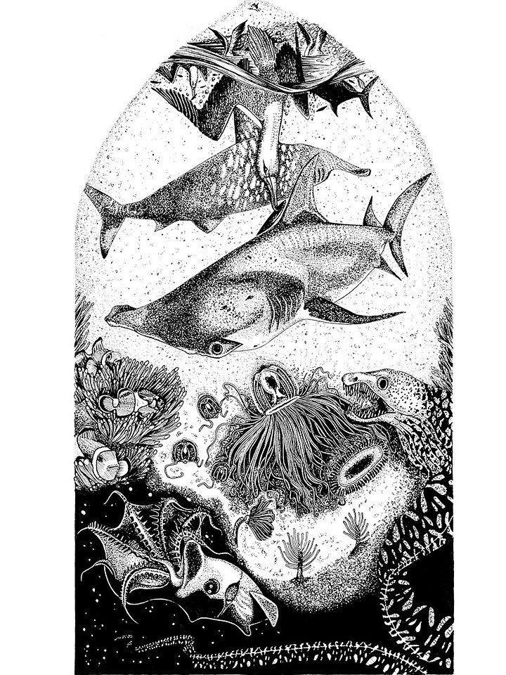 Beautiful Wildlife Wall Art | 4 Designs | A4 210 x 297 mm product image (1)
