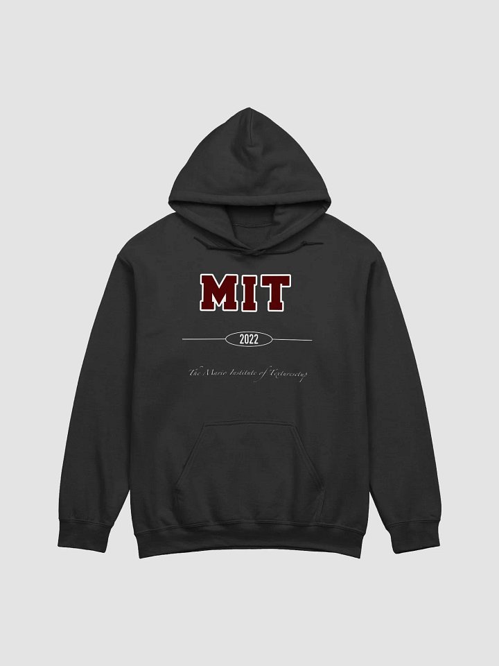 The Mario Institute of Texture Setup (MIT 2.0) Hoodie product image (1)