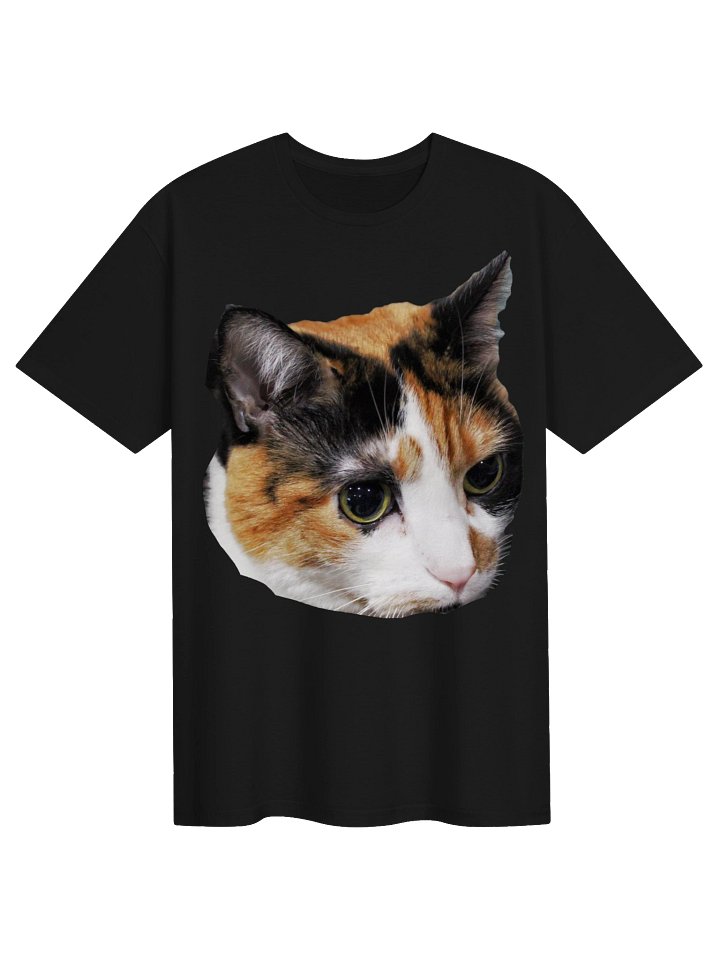 Captain Noodle Shirt product image (1)