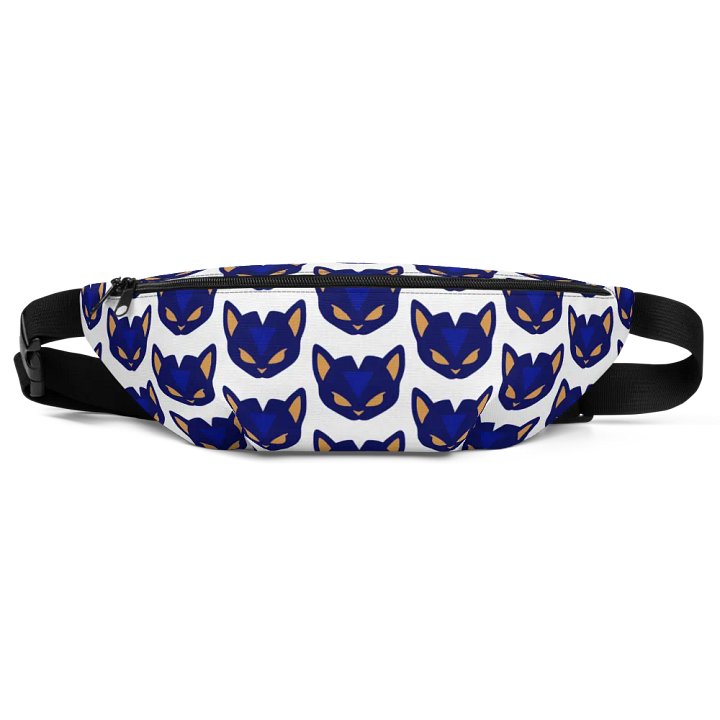 ISAG fanny pack! product image (2)
