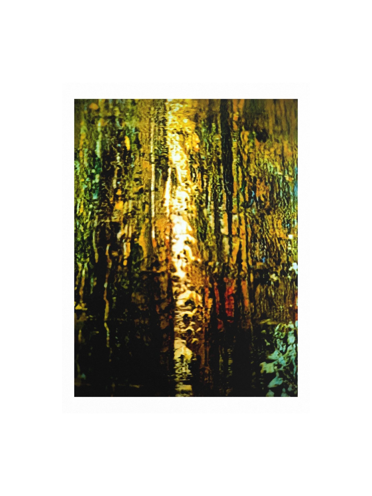 The Inner Forest – Fine Art Print product image (1)