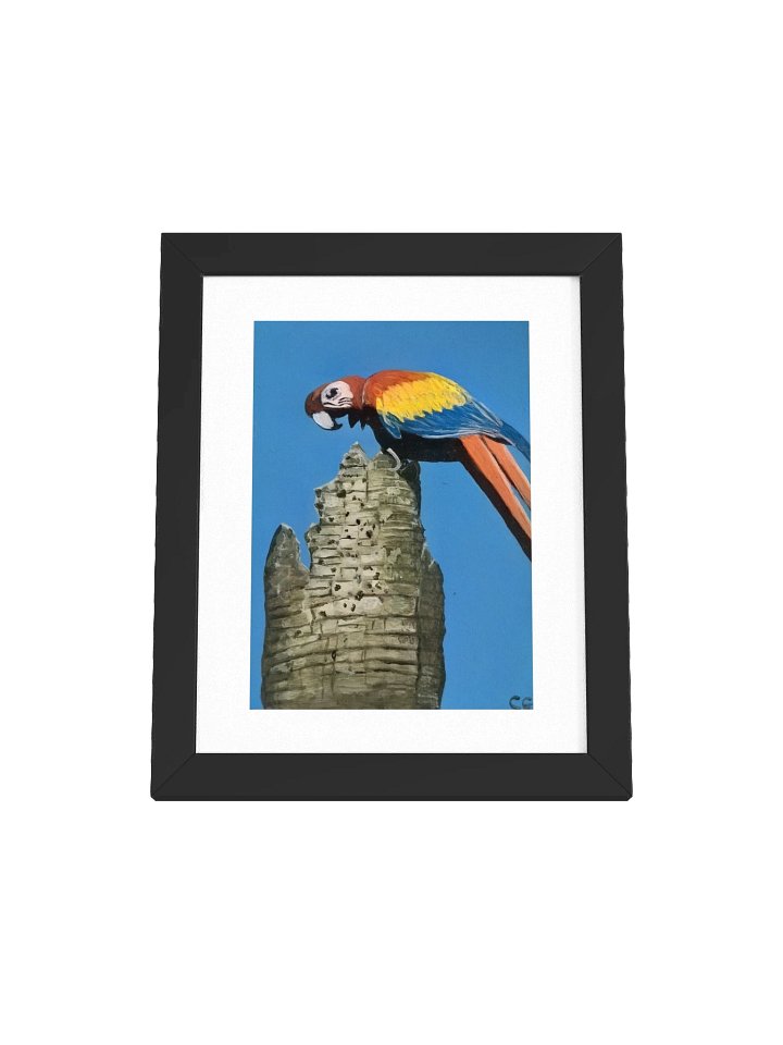 Scarlet Spirit of Playa Blanca Framed Poster product image (1)