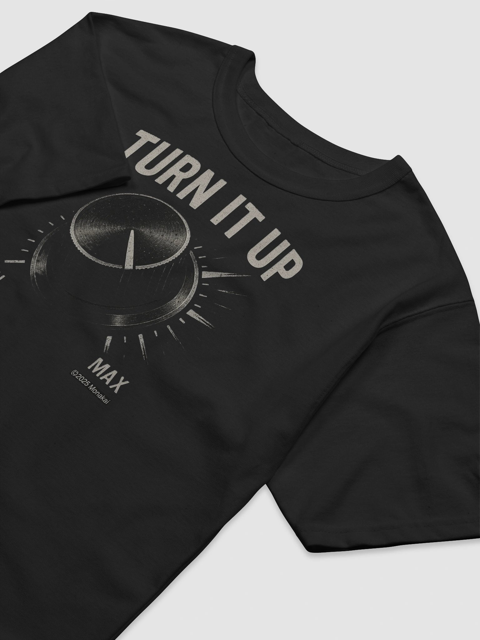 (ON SALE) TURN IT UP Champion® Relaxed-Fit T-Shirt by Monakai product image (3)