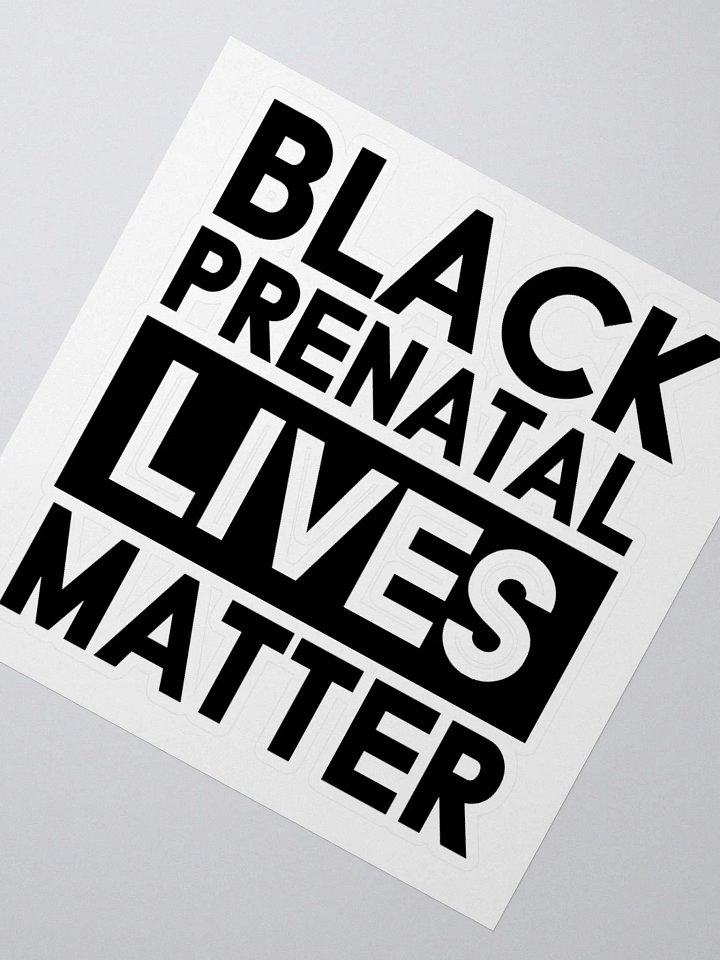PLM Sticker (Black) product image (6)