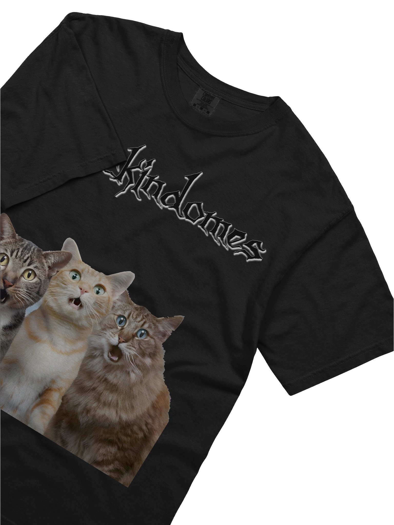 cat product image (5)