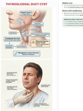 IvyTutoring Step 1 HY Book - Endocrinology product image (2)