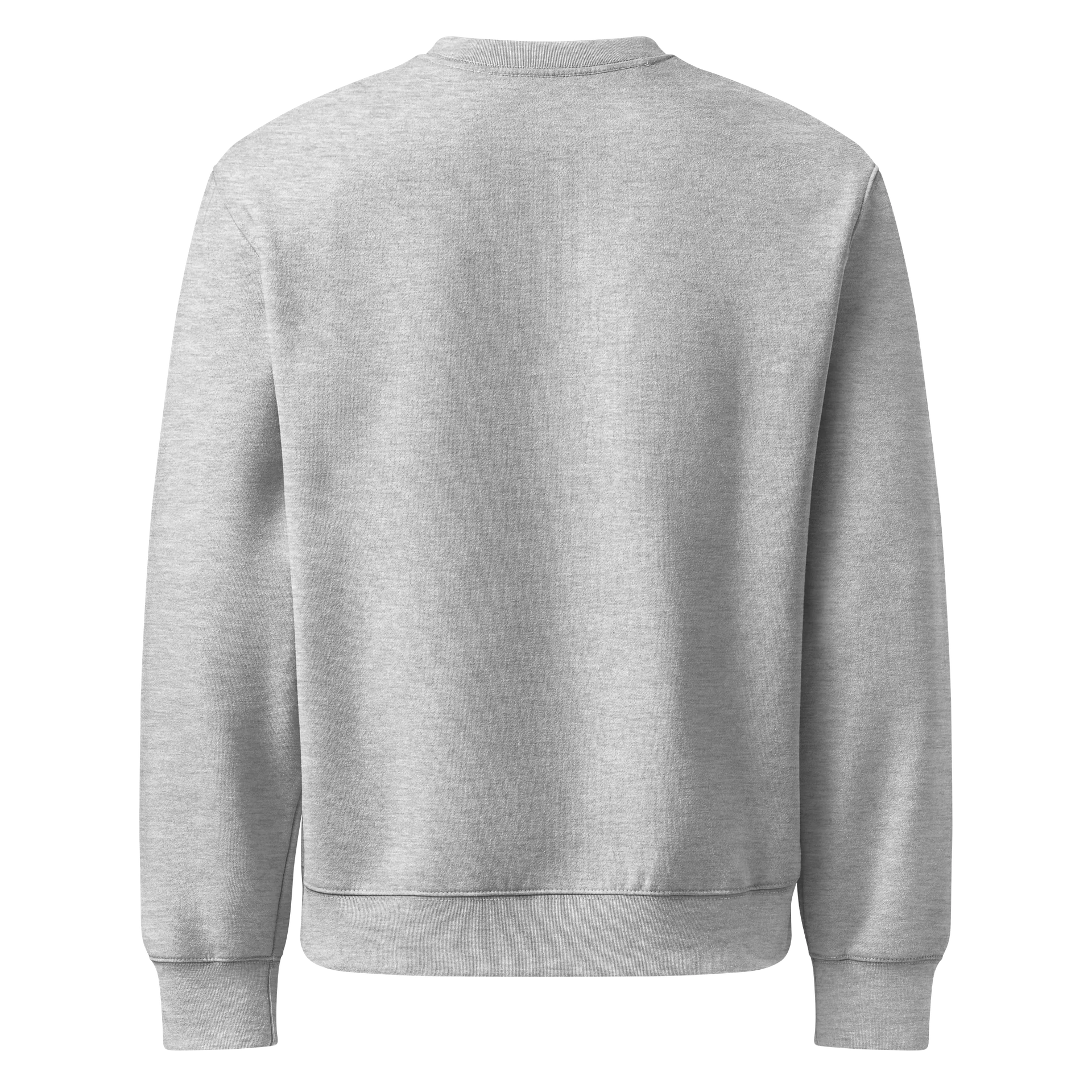 Moody Moon Coyote Unisex Oversized Crewneck product image (2)