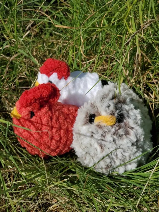 Fluffy Chicken product image (3)
