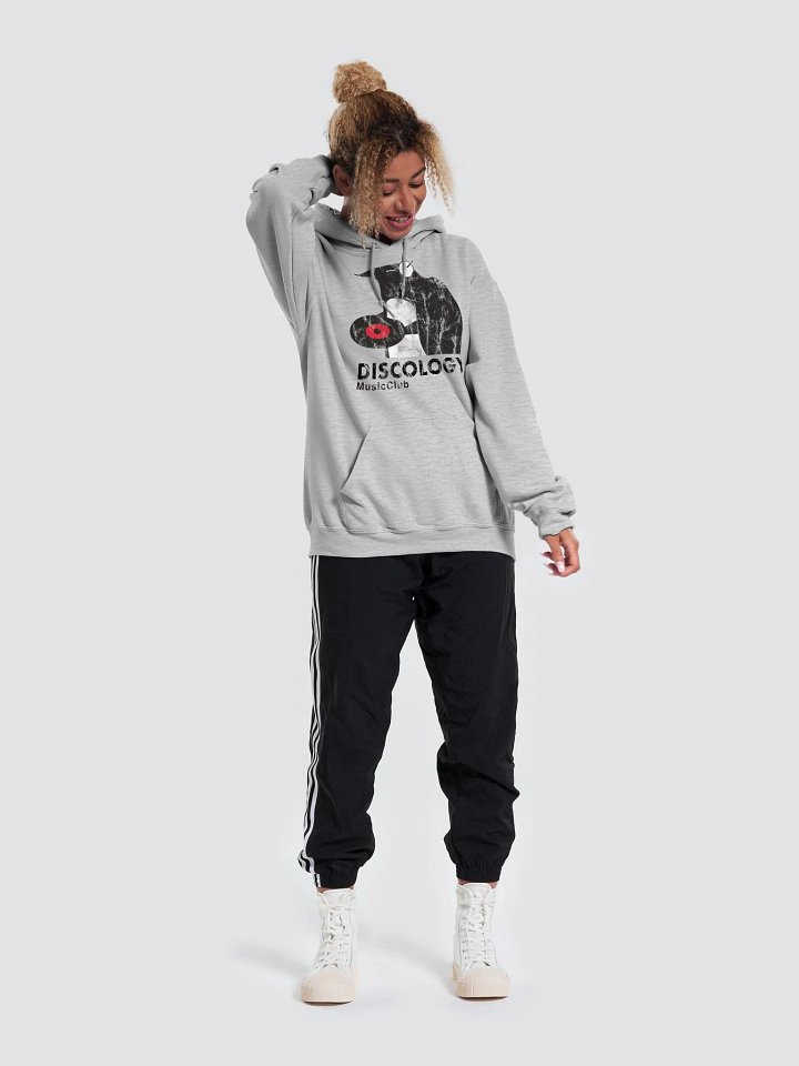 Discology - Vintage Style Hoodie product image (1)