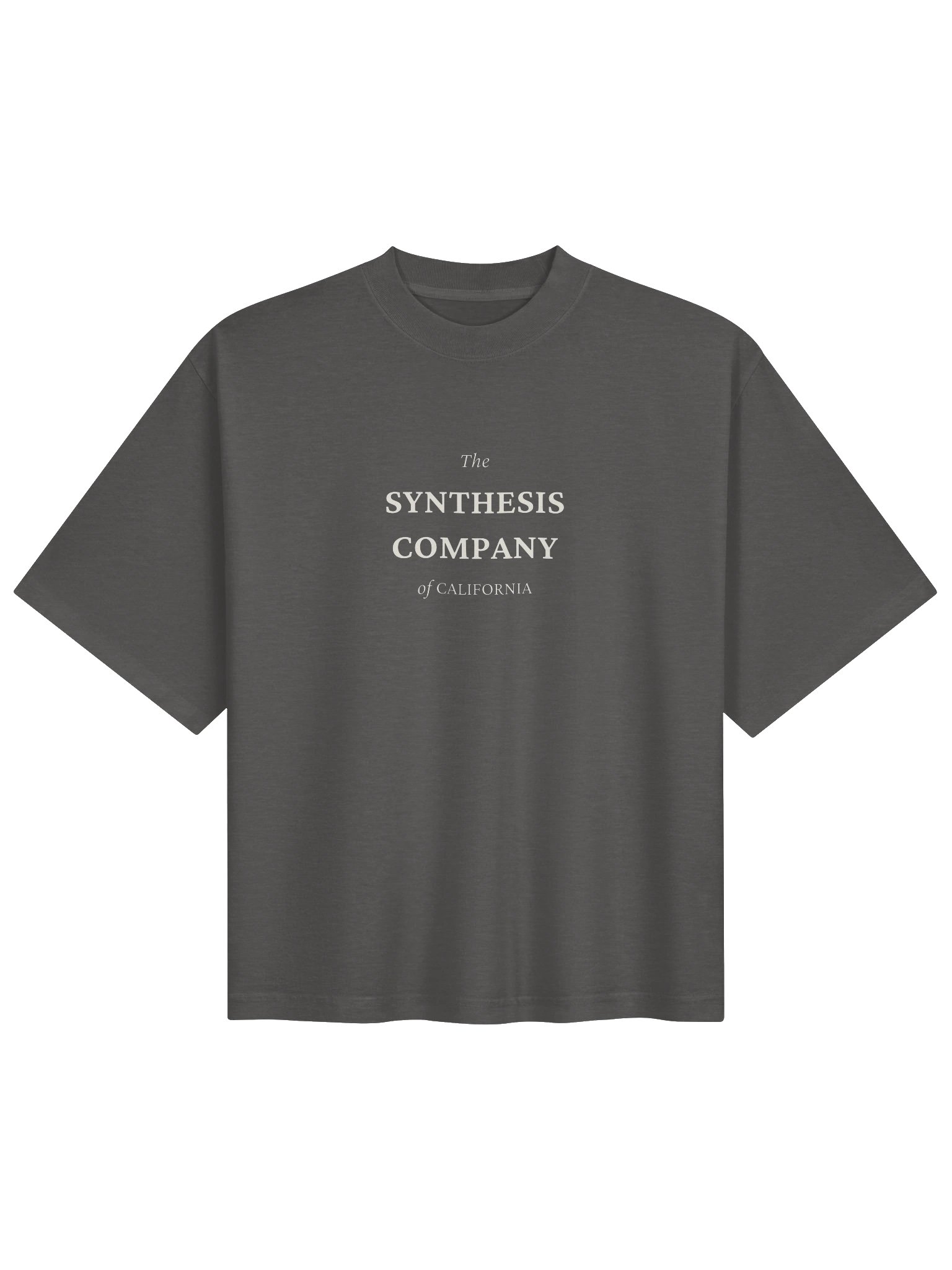Synthesis — Stacked Lander Tee / Shadow product image (1)