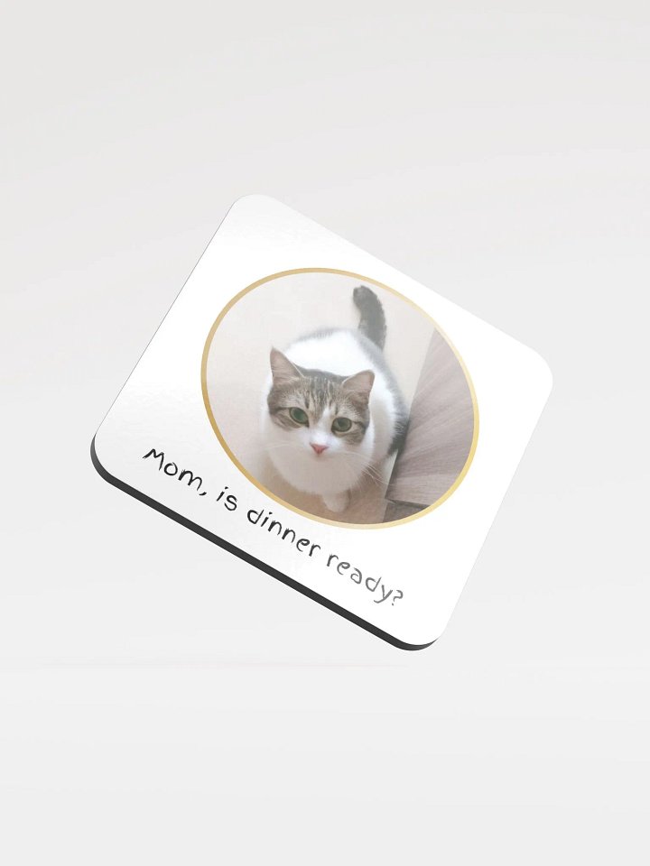 Cute cat asking for food coaster product image (1)