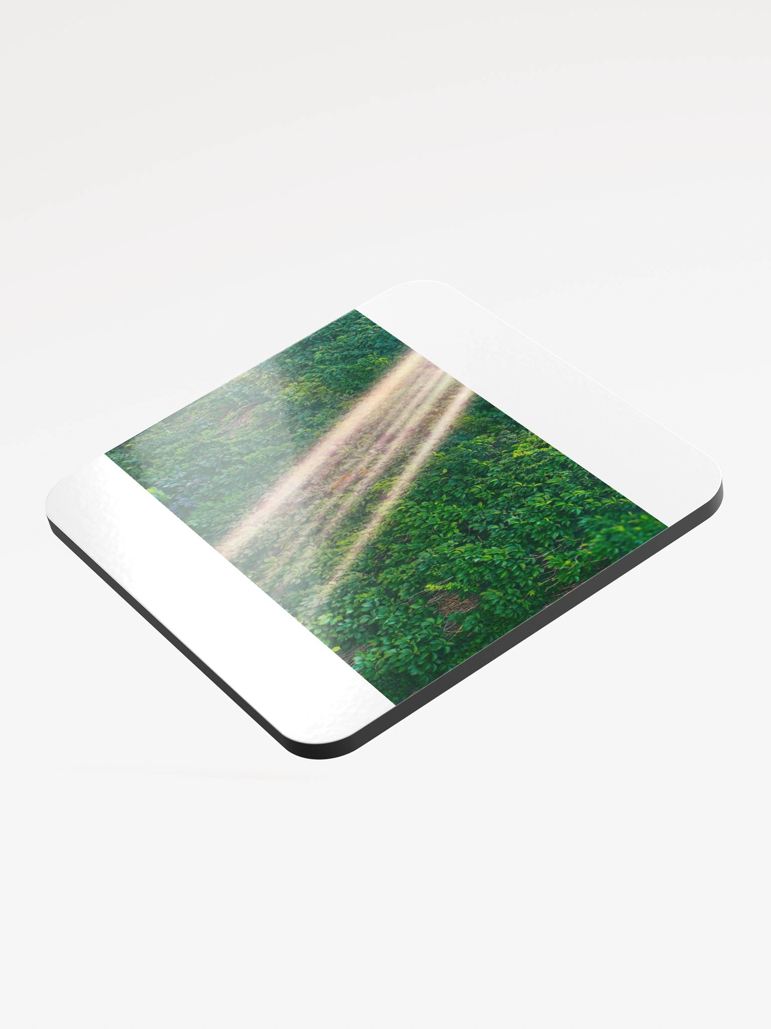 Sunlit Foliage Glossed Cork Coaster product image (3)