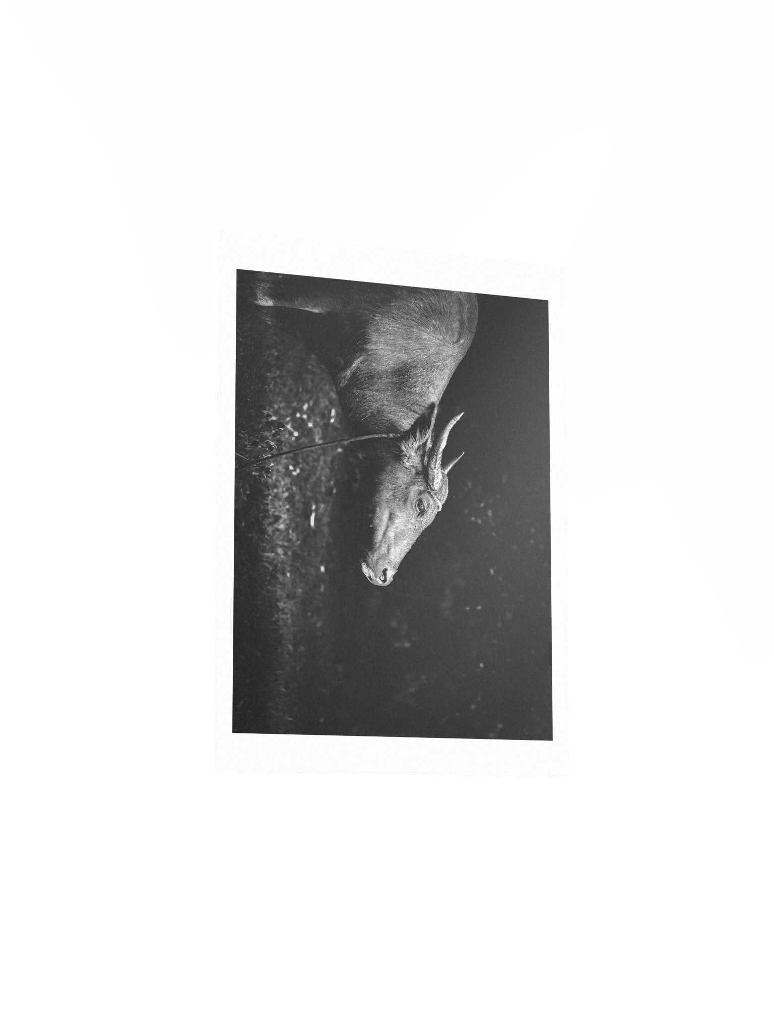 Matte Poster for Vol 3 | Philippines (Tiny Sensor in) product image (4)