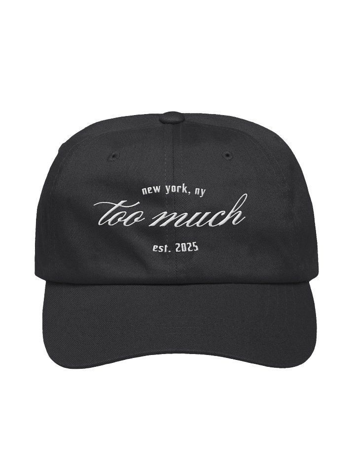 the new yorker dad hat product image (1)