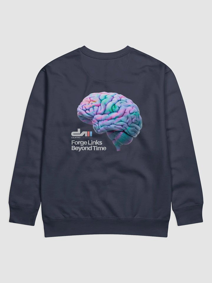Temporal Connectivity / Premium Sweatshirt product image (2)