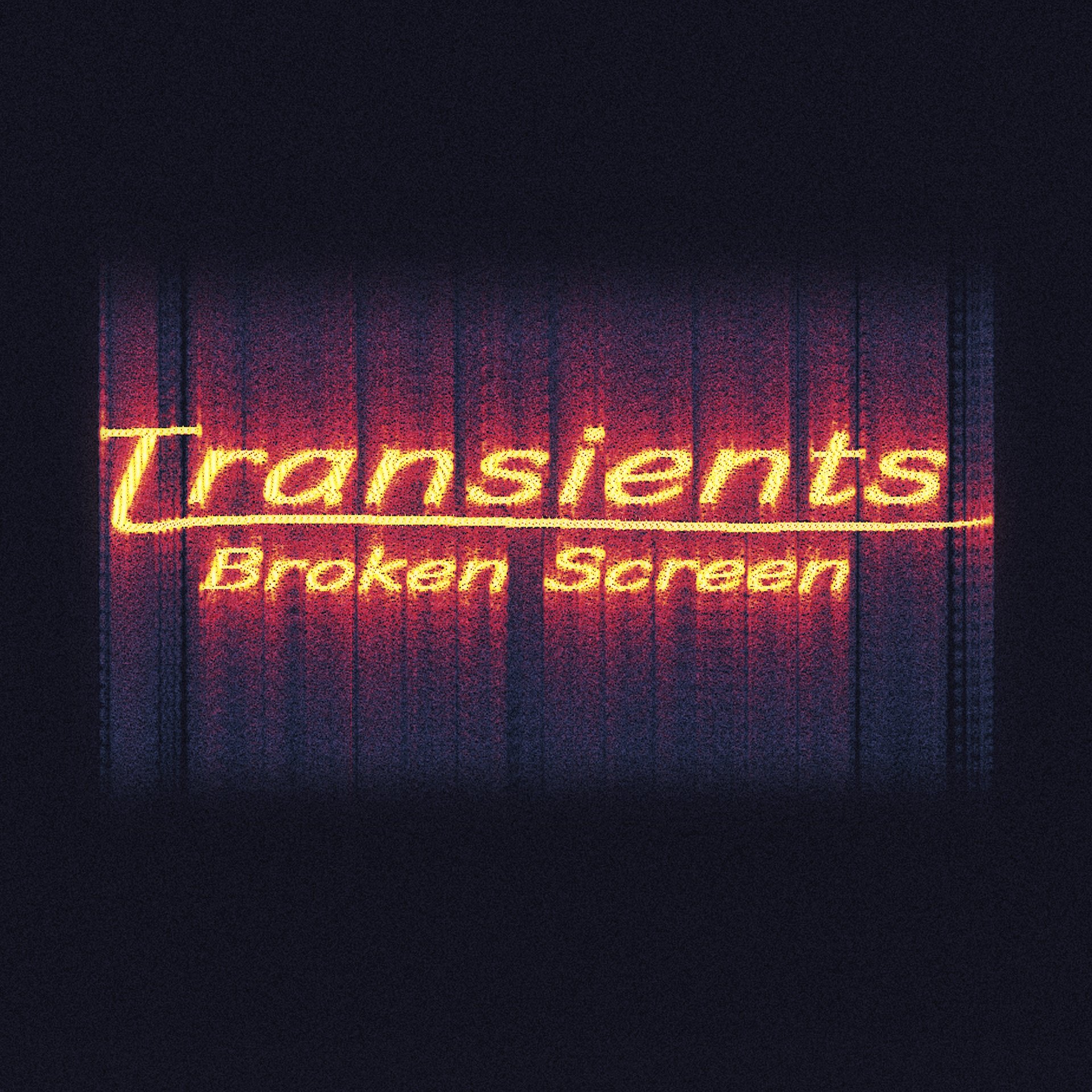 Transients product image (1)