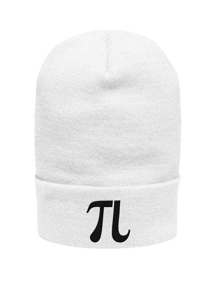 TL logo beanie product image (1)