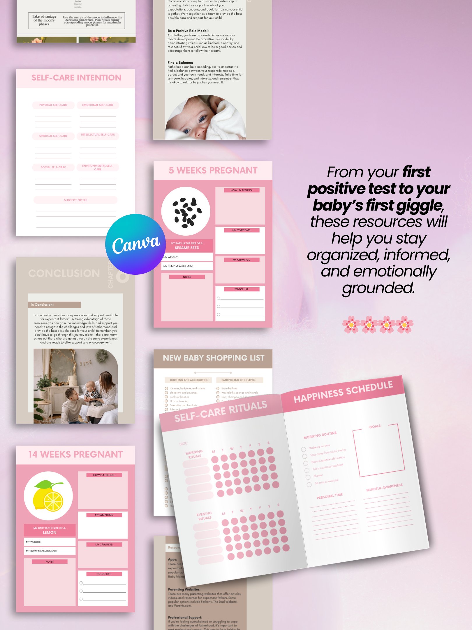 Pregnancy eBook Bundle | 7 Digital Products for New Moms | MRR PLR Bundle product image (3)