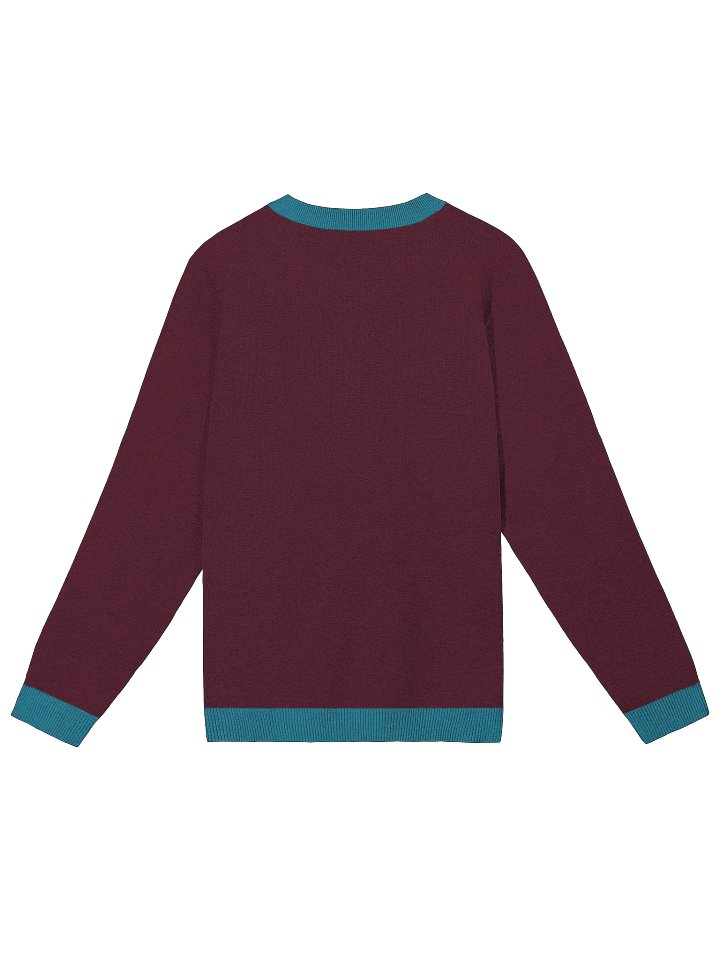 CS Sweater product image (2)