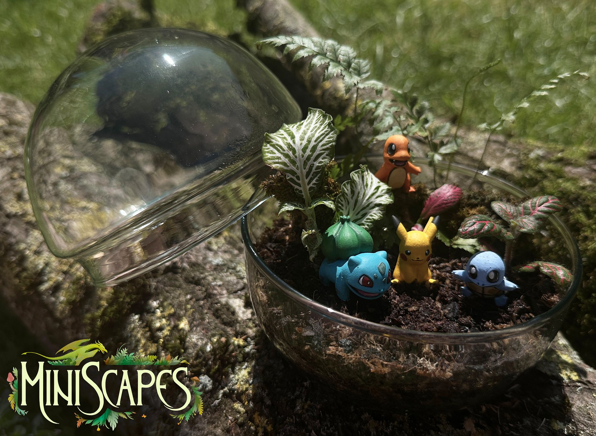 Mediumscape - Poke - The Original Starters product image (4)