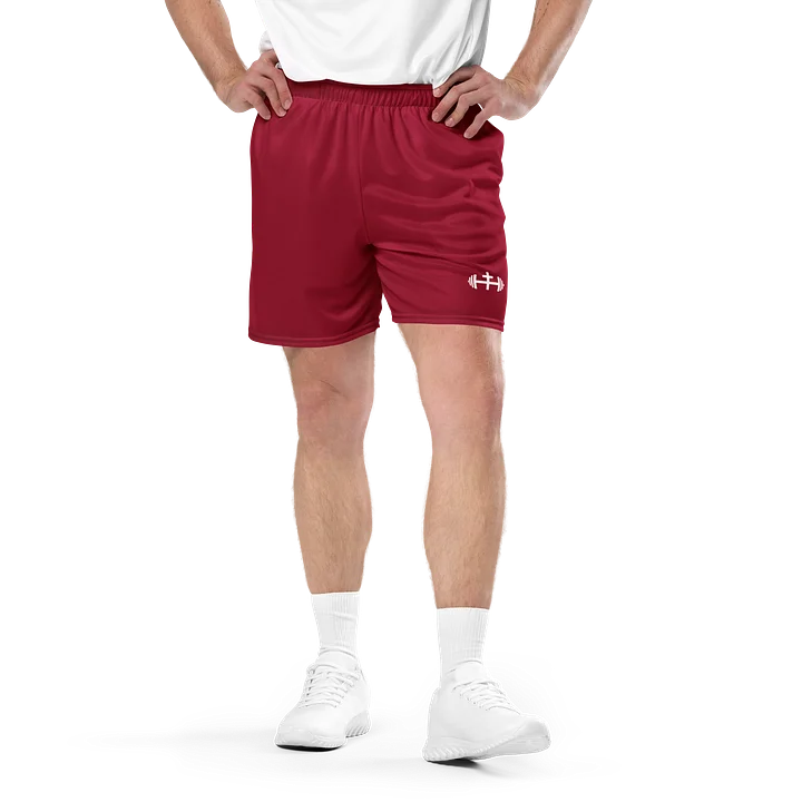 His House Mens Performance Mesh Shorts - Red product image (1)