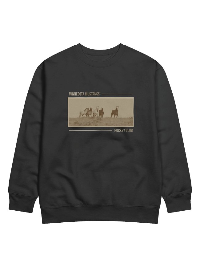 S4 Pro Sweatshirts