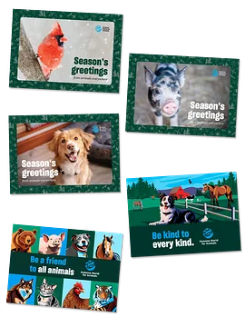 Holiday and Greeting card bundle