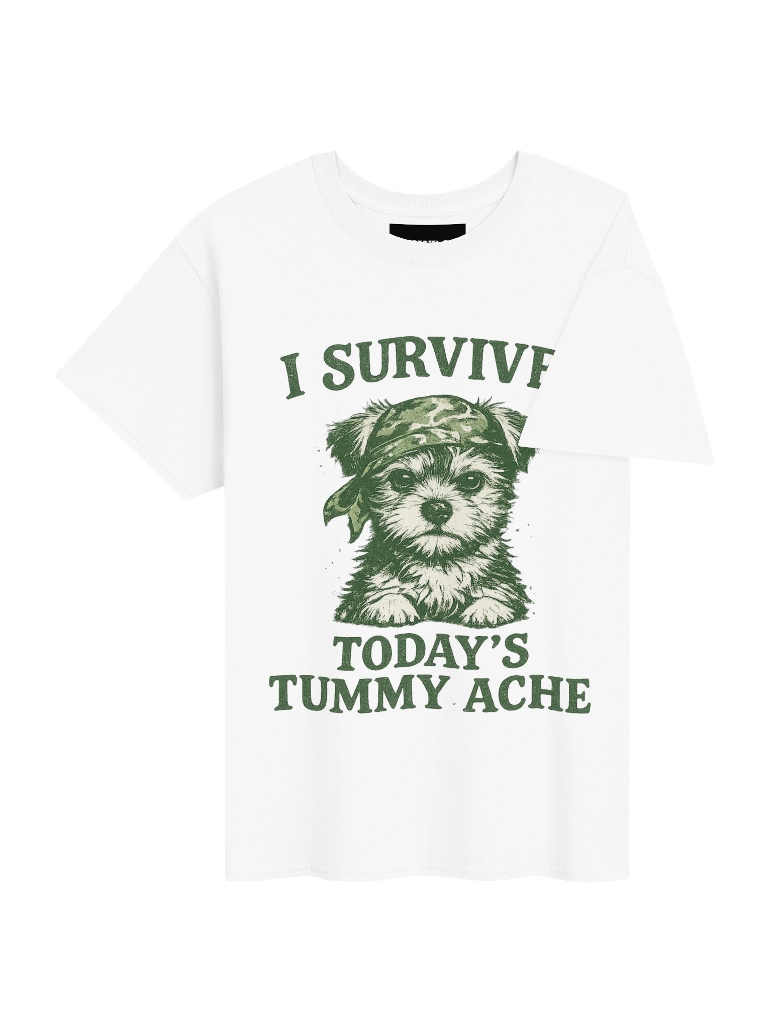 Survived today's tummy ache product image (40)