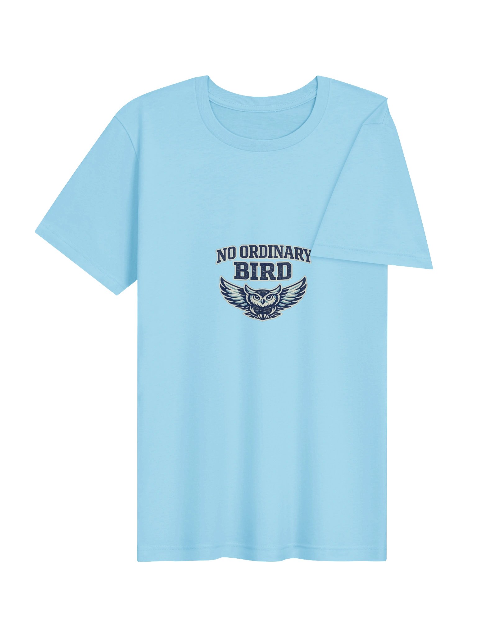 No Ordinary Bird Owl Tee product image (16)