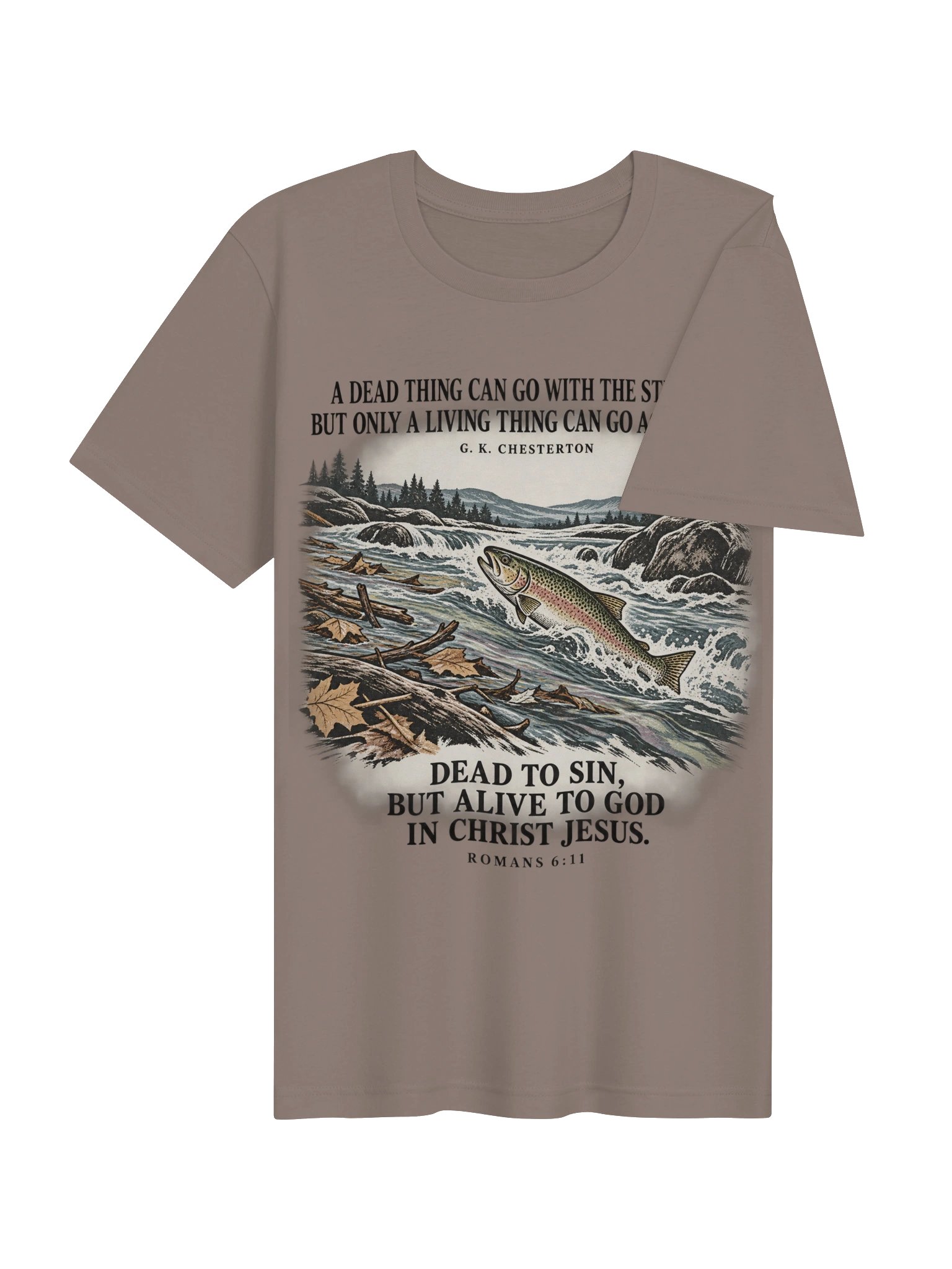 Swimming Upstream T-shirt product image (102)