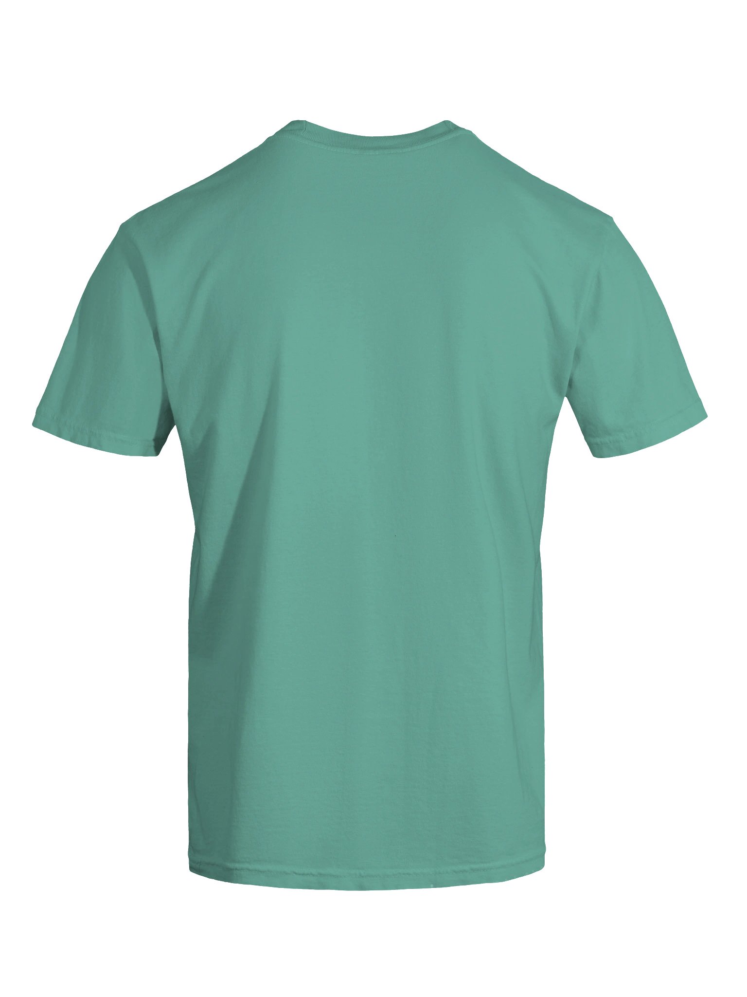 "Taking Care of Your Mental Health is Hot" tee product image (13)