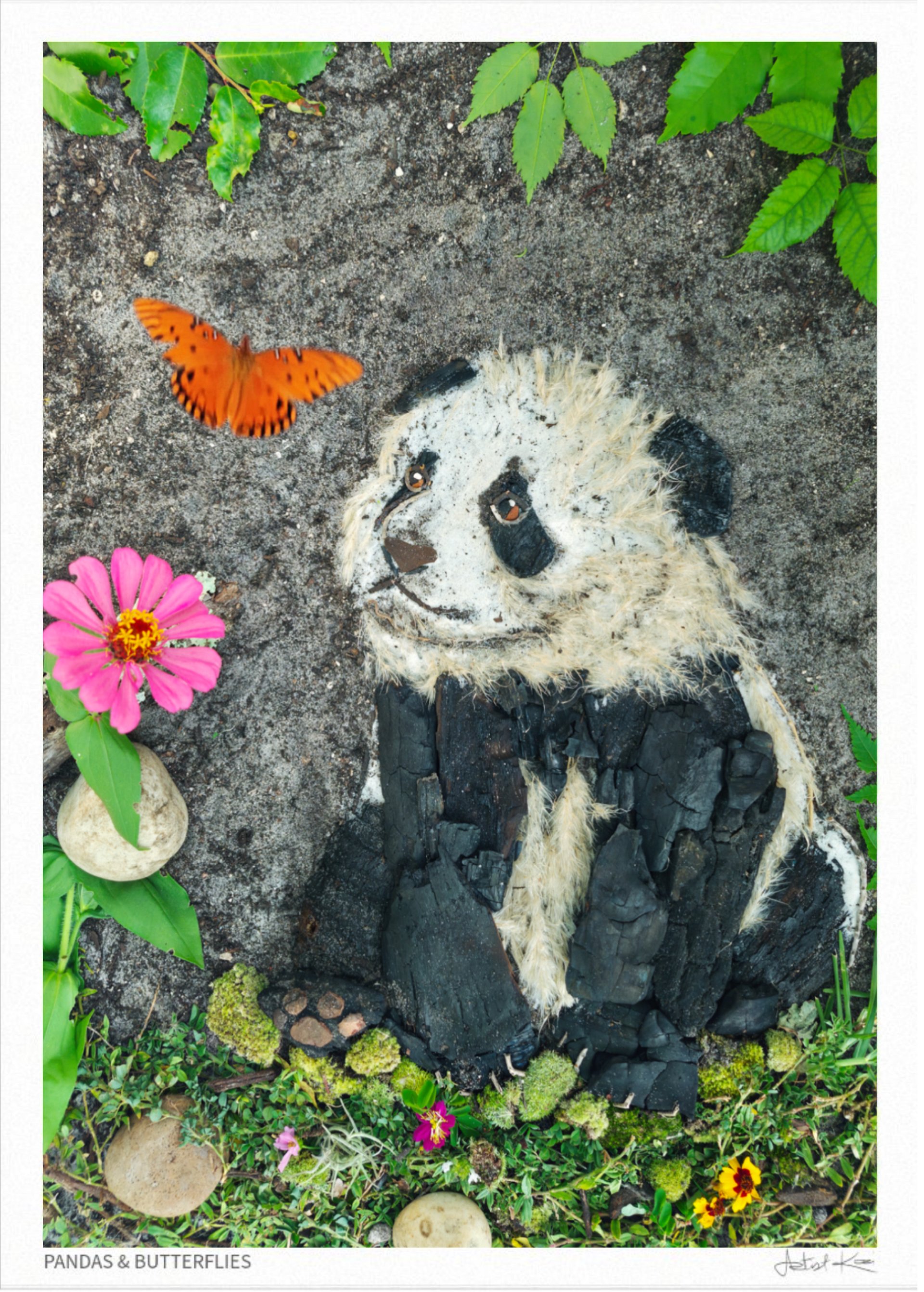 PANDAS & BUTTERFLIES | Fine Art Print product image (1)