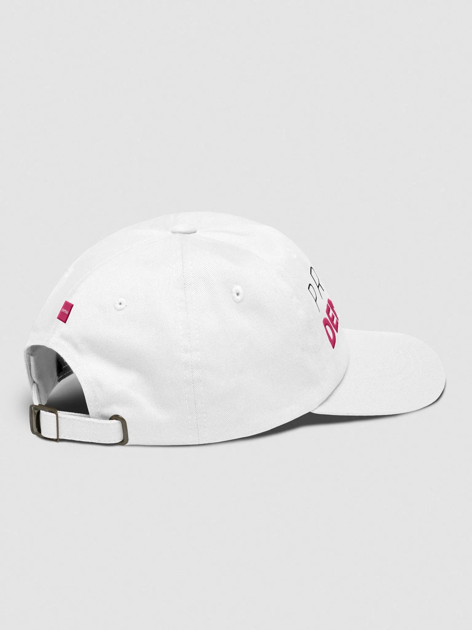 "Protect Democracy" Dad Hat product image (4)