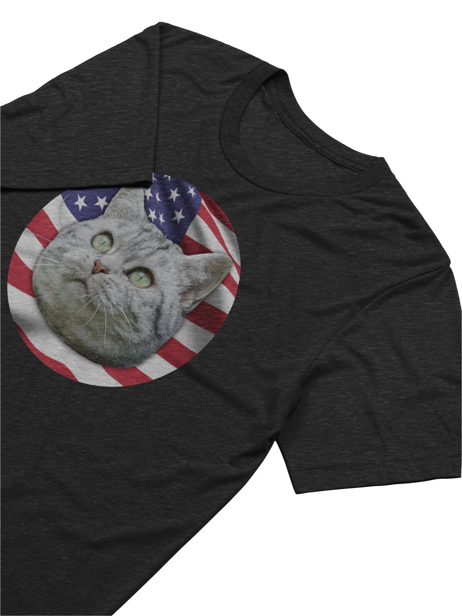 PATRIOTIC CAT LOGO (Triblend) product image (30)