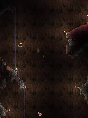 A fair warning... but was it though #leagueofchaos #fyp #terrariamemes #terraria 