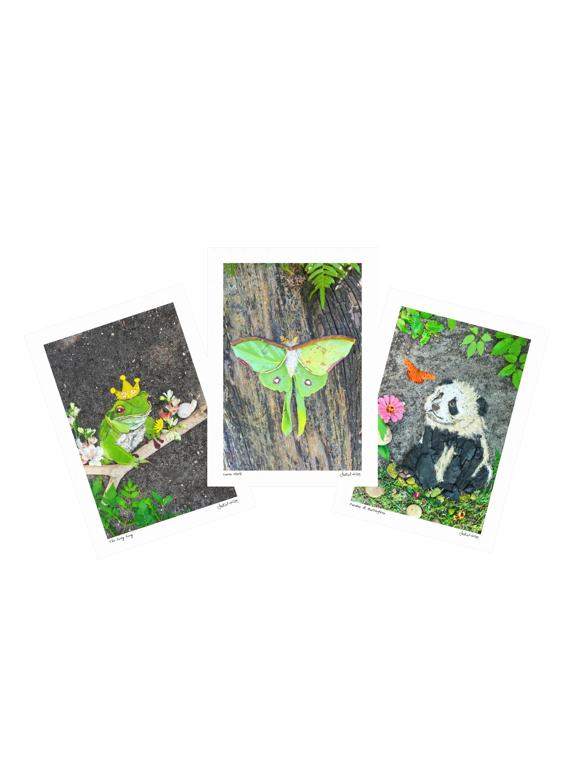 TREELANDS COLLECTION | Small Prints product image (1)