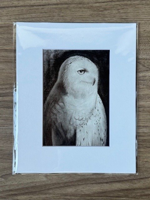 snowy owl charcoal print product image (1)