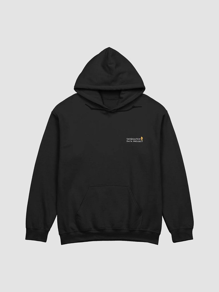 SDP Hoodie product image (2)